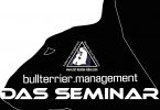 Das Seminar - Bullterrier im Kontrast